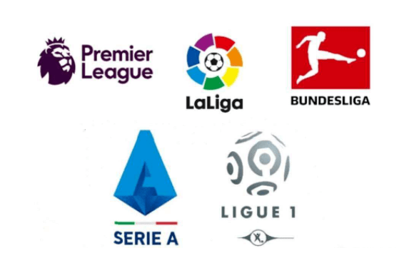 展示了全队 展示了全队